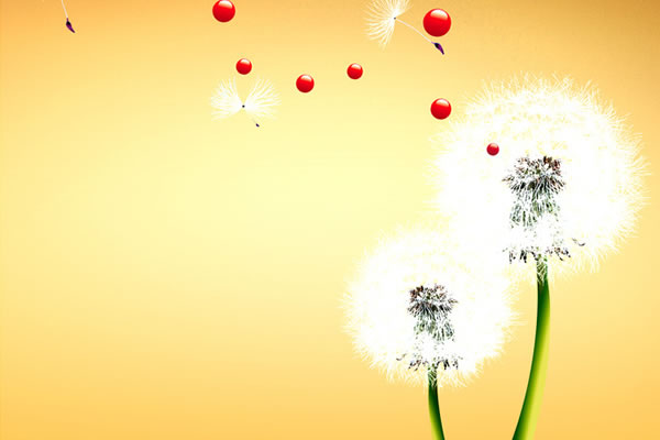 长沙市维旭文化传播有限公司